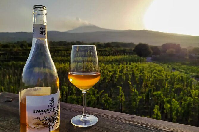 Etna excursion and wine tasting with Sicilian lunch - Trekking the Sartorius Craters and the “Buttonhole” Side