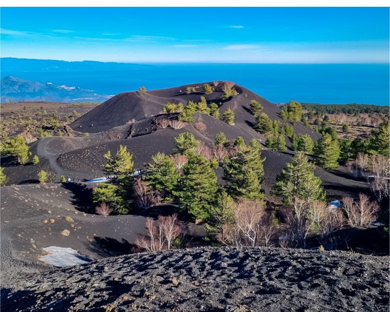 Etna excursion from Catania - Rifugio Sapienza for 3 hours: the heart of the Etna experience
