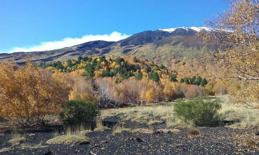 Etna excursion from Taormina and surroundings - Who This Etna Hike Is Best For (And Who Might Want Something Different)