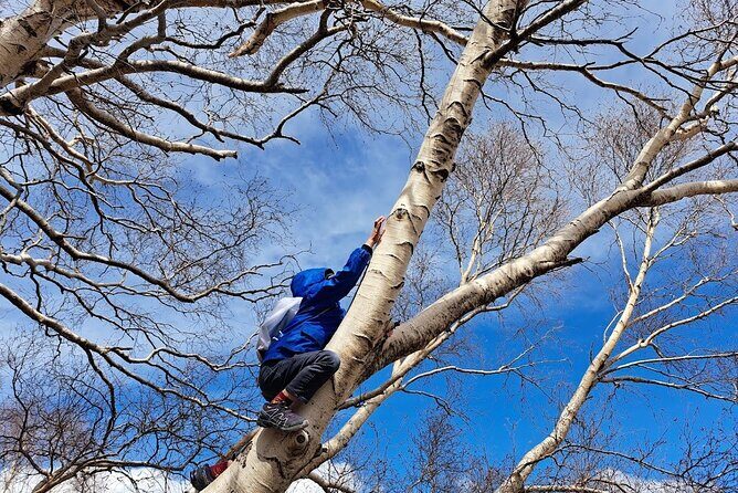 Etna Family Tour Excursion for families with children on Etna - How the Etna Family Tour Runs in Real Life