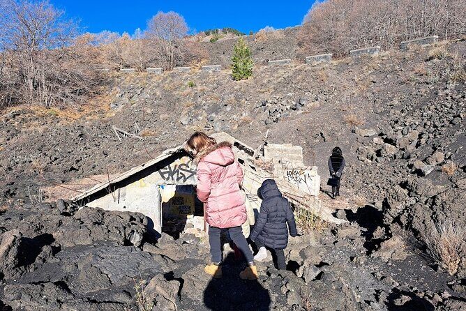 Etna Family Tour Excursion for families with children on Etna - Price and Value: Is $102.84 Fair for What You Get?
