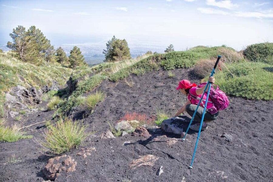 Etna Family Tour: private excursion on Etna mt. for families - How long is this, really, and how to plan your day