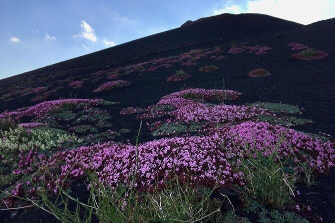 Etna Grantour - 4x4 & trekking - Private tour with lunch included - Transportation, Footwear, and Comfort Tips That Matter