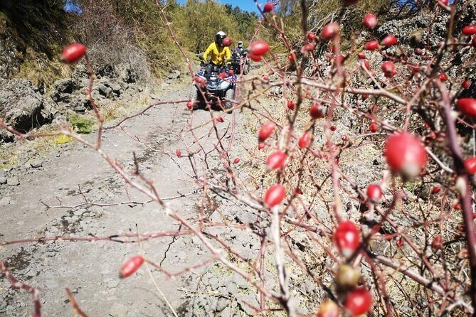 Etna Hard Tour - Lava Flow Stop: Seeing Texture, Not Just Rocks