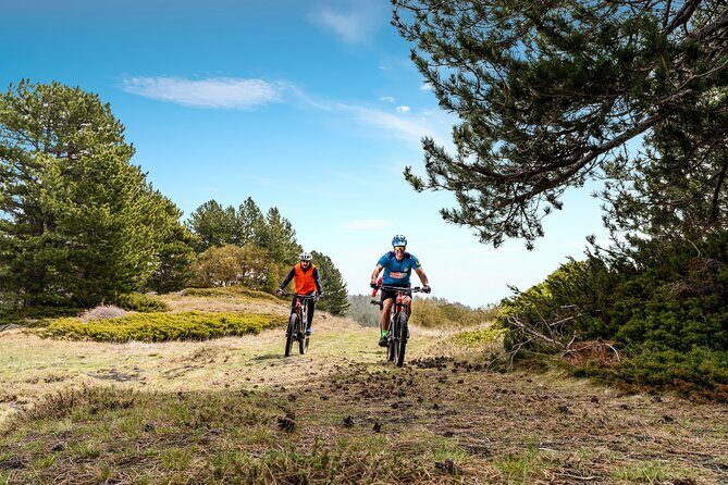 Etna in MTB Half day small group - Meeting in the Catania Area and Your 1:00 pm Start