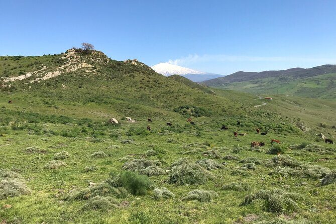 Etna Morning Jeep Tour - Cave Time: Grotta Cassone and Optional Cavern Detours