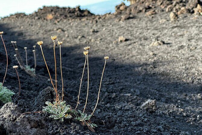 Etna Morning or Sunset - Trek & Lava Tunnel with Gear - Who should book this Etna trek and tunnel?