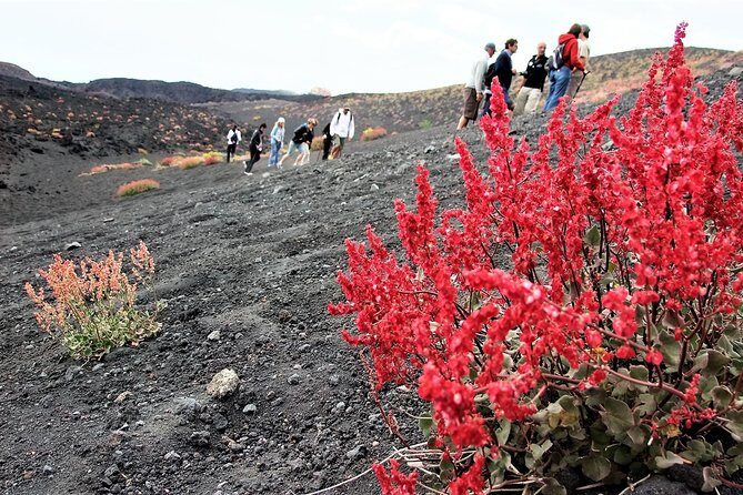 Etna Morning Trip - How the morning starts: pickup, timing, and getting out of Catania