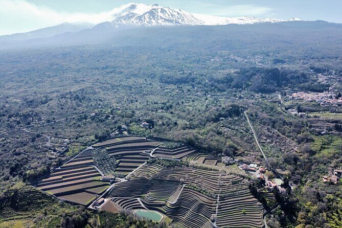 Etna panoramic private tour and Wine taste and food combination - Key Highlights Worth Booking for