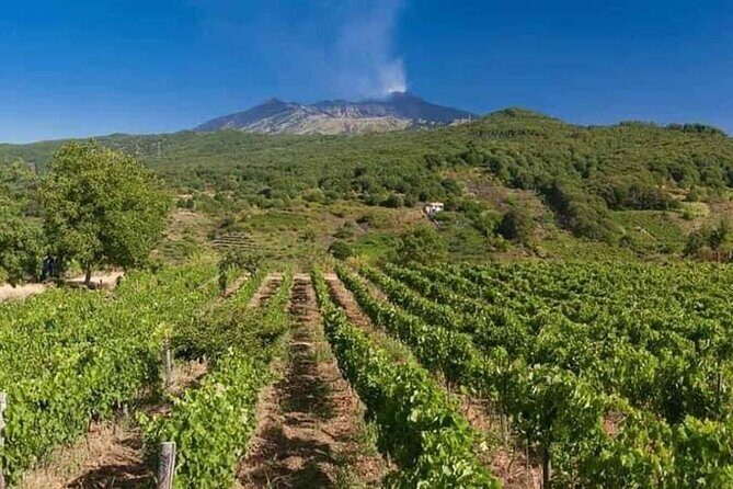Etna panoramic private tour and Wine taste and food combination - Silvestri Craters Around 2,000 Meters: The Panoramic Payoff