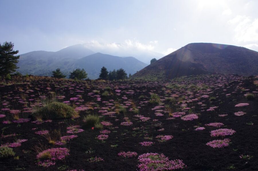 Etna Private Sunset Tour with Prosecco - What to Bring and Wear in Etna’s Fast-Changing Weather