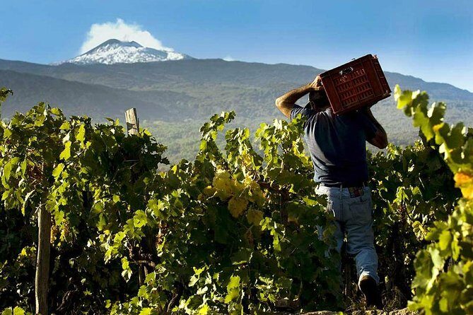 Etna Private tour from Messina Cruise Terminal + Lunch at Winery - Riding up Etna’s mountain roads: lava stone towns and sea views