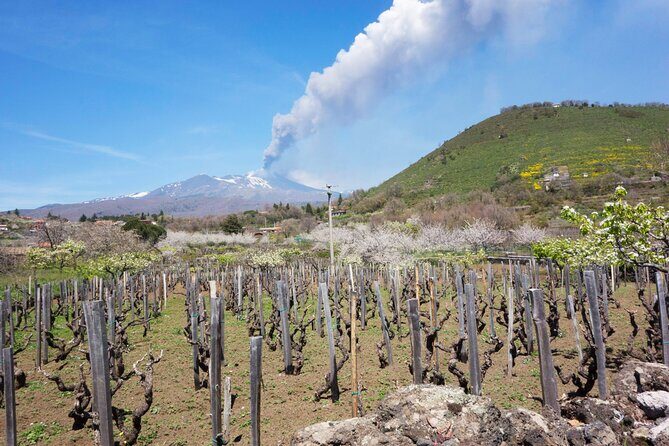 Etna Private tour from Messina Cruise Terminal + Lunch at Winery - What “private” changes for Etna: pace, photos, and personal stops