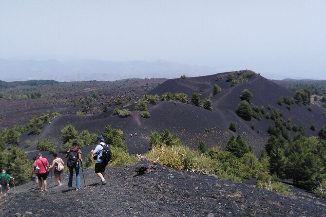 Etna private tour with wine cellar gambino lunch and wine tasting - A private Mount Etna day from Catania, with pickup that makes it easier