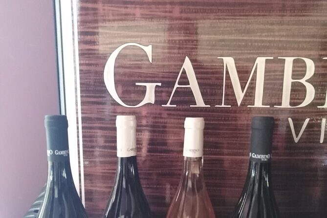 Etna private tour with wine cellar gambino lunch and wine tasting - How to handle an 8 to 10 hour schedule without feeling rushed