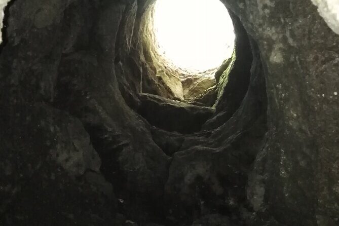 Etna private tour with wine cellar gambino lunch and wine tasting - Monte Vetore crater walk and the Tifeo bronze statue