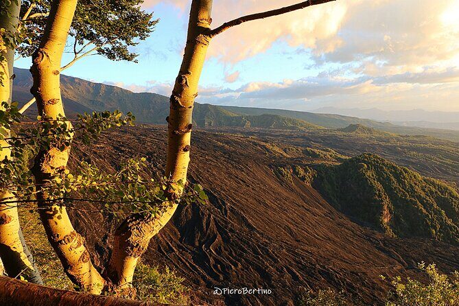 Etna Sunset Tour - What the 4.9 rating tells me to pay attention to