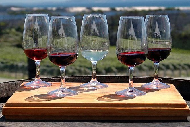 Etna Tour and Lunch in a Winery with Wine Tasting - Best for who—and who should choose something else