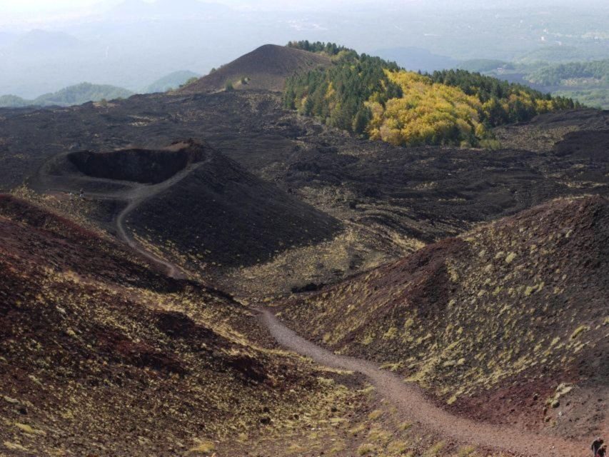 Etna Tour by Panoramic Bus - What to Know Before You Go (Comfort, Timing, Food)