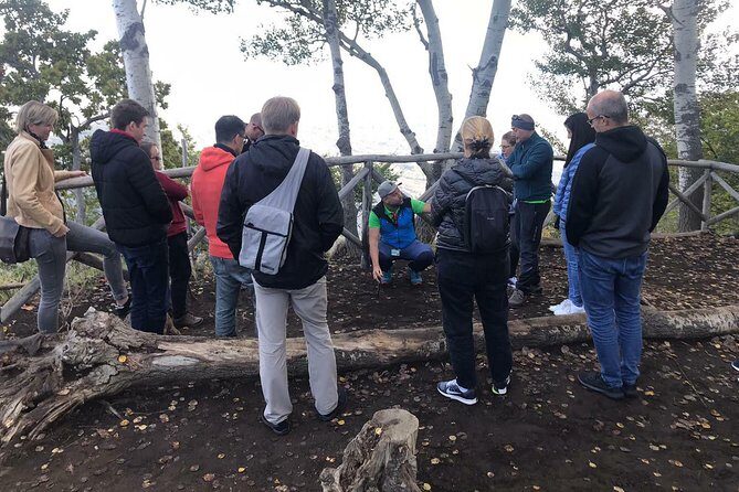 Etna Tour - HalfDay Small Group & licensed Tour Guide - Traditional farm tasting: wine, local products, and an easy landing