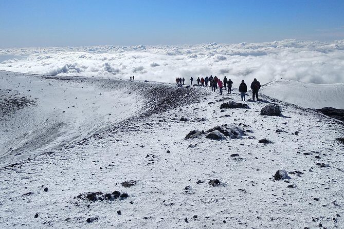Etna Tour - HalfDay Small Group & licensed Tour Guide - Price and value: what €90.74 really buys you
