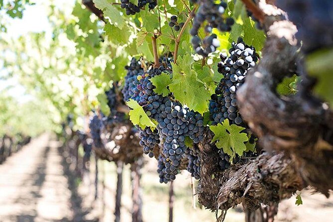 Etna trekking and wine tasting - The Etna hike: lava flow cave and extinct craters you can actually see