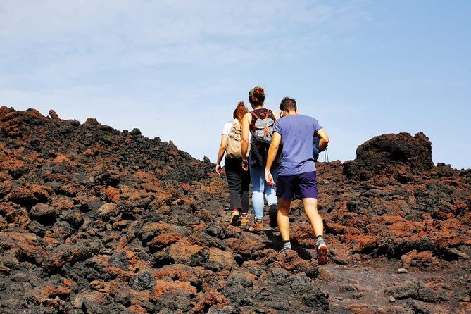 Etna trekking and wine tasting - Price and value: what you’re really paying for at $186.74