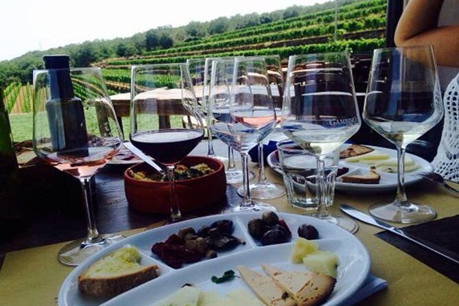 Etna trekking and wine tasting - Who should book this Etna trek and wine day