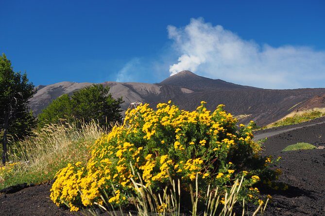 ETNA - Trekking to the Craters Eruption of 2002 - Pace and what the trek actually feels like