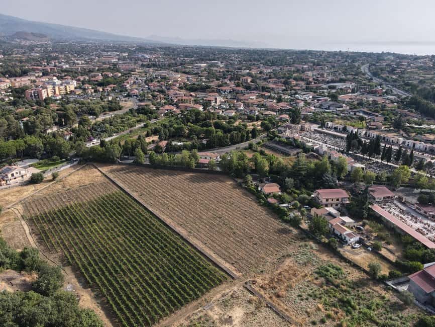 Etna: Urban Winery, Vineyards Walk & Wine Tasting at Sunset - Inside the Palmento: traditional winemaking machinery from 1790