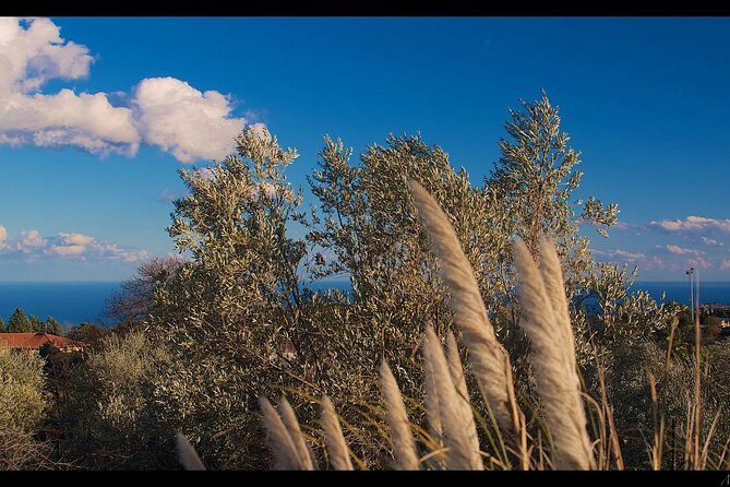 Etna Volcanic Yoga and Meditation Weekend (Private Experience) - Key highlights you’ll actually feel