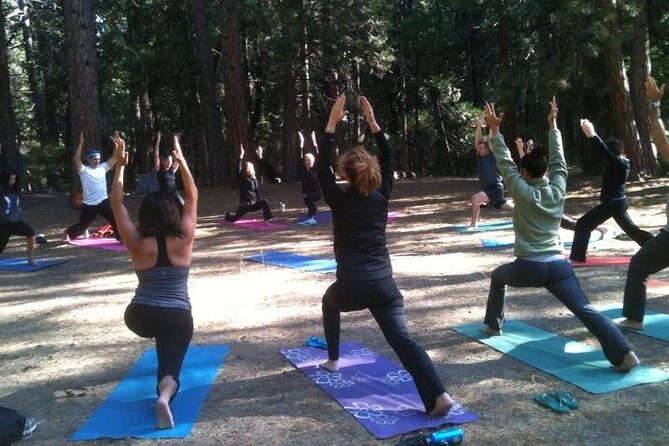 Etna Volcanic Yoga and Meditation Weekend (Private Experience) - The core sessions: woods yoga near lava stones and guided volcanic walks
