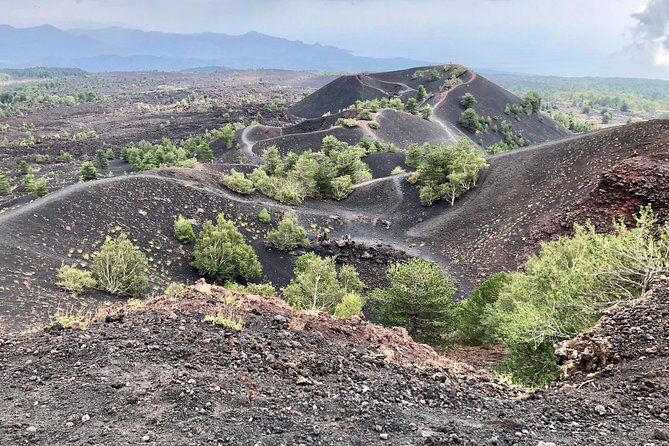 Etna, Wine and Alcantara Tour - From Taormina - What Makes This Etna and Wine Day So Worth Your Time