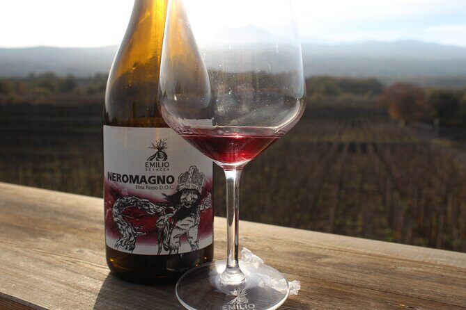 Etna Wine and Alcantara with lunch - A Small-Group Route From Catania: 8 to 10 Hours