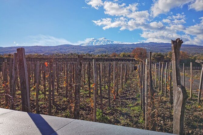 Etna Wine and Alcantara with lunch - Before You Go: Gear, Shoes, and Cold-Water Reality