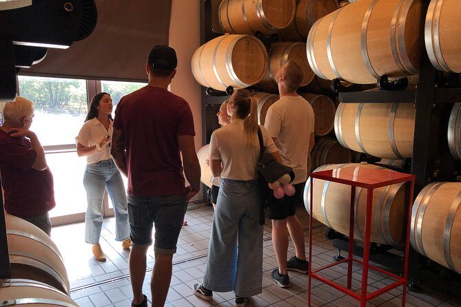 Etna Wine and Food Volcanic Day Tour - Private Experience - South or North Etna top station: the view plus the context