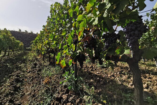 Etna Wine And Taormina From Messina - A quick look at Messina’s details: stela, Neptune, and the church scale