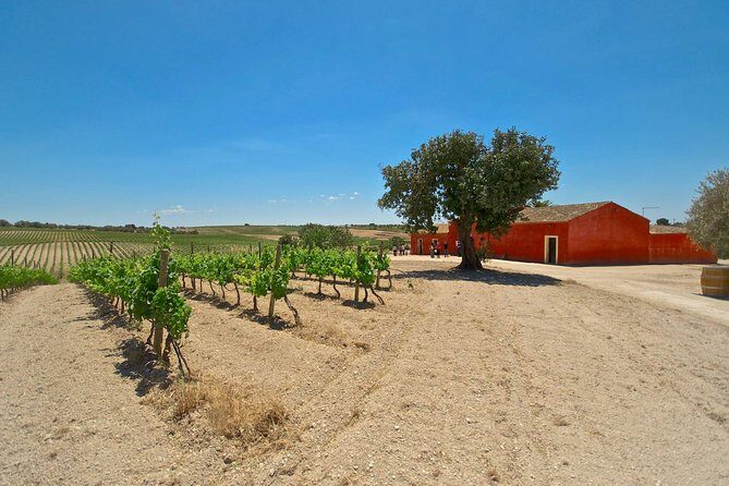 Etna Wine & Food Volcanic Week Grand Tour (Private) - Price and Value: What $4,900 Per Person Buys