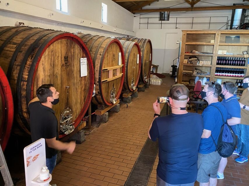 Etna & Wine Private Day Tour - Key highlights you’ll actually feel during the day