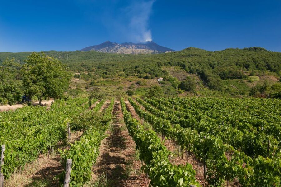 Etna & Wine Private Day Tour - What to bring so the day feels easy