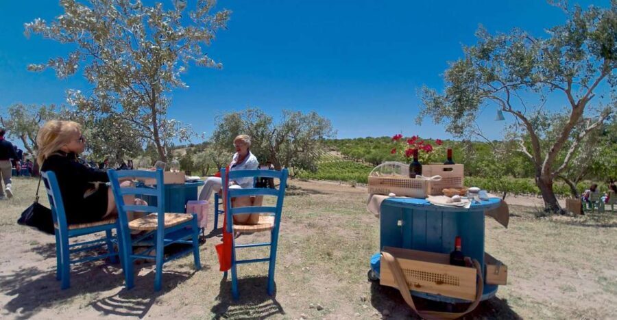Etna & Wine Private Day Tour - Guided Etna time: what the station visit gives you