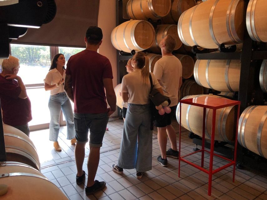 Etna & Wine Private Day Tour - The winery stop: family-run, walkable, and built around the vines