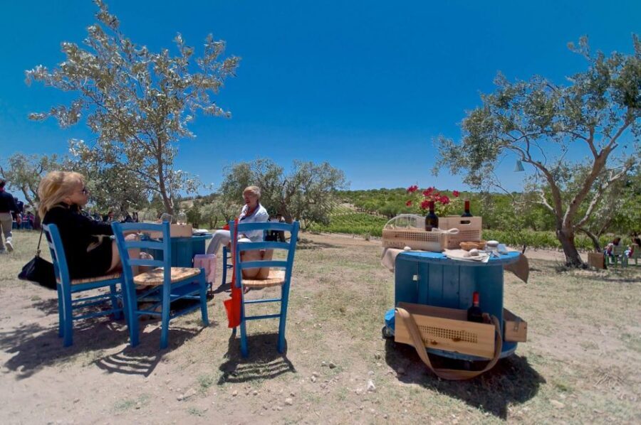 Etna & Wine Private Day Tour - The day moves by Jeep/SUV ride, not guesswork