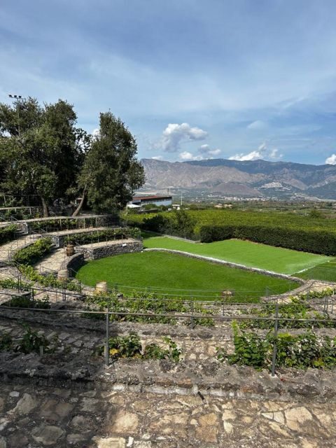 Etna: Wine Tasting and Food Tour - Price and value: what $129.14 buys in a 7-hour Etna day