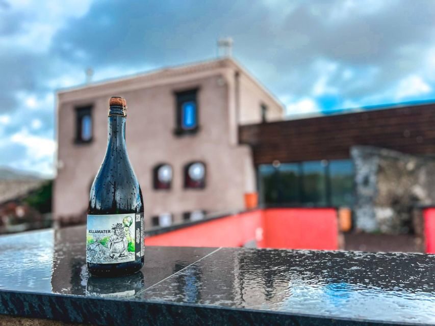 Etna: Wine Tasting and Food Tour - Who should book this tour (and who might want a different plan)