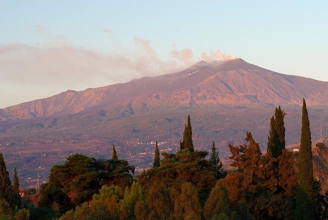 Etna Wine Tasting and Train Tour - Key things to know before you go