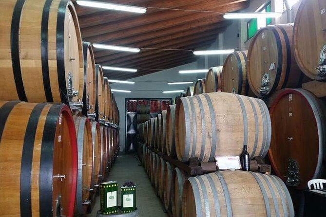 Etna Wine Tasting & Sicilian Lunch –Small Group Tour from Catania - Key highlights that make this Etna wine day work