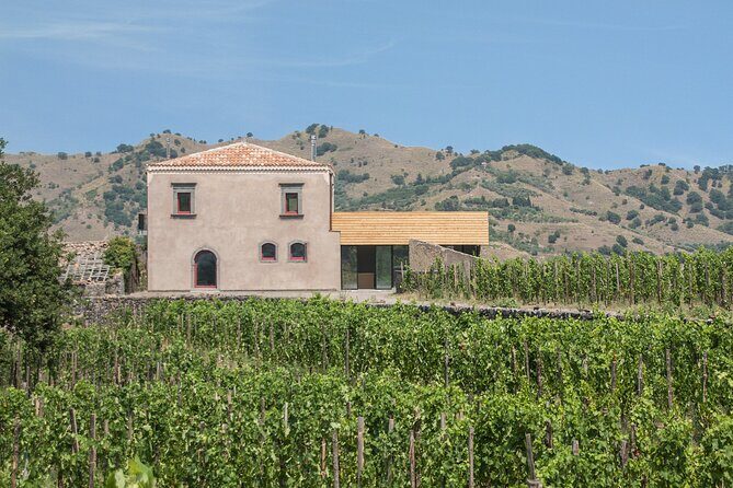 Etna Wine Tasting & Sicilian Lunch –Small Group Tour from Catania - Etna wine, explained in a way that actually helps your next bottle