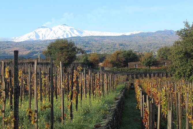 Etna Wine Tasting & Sicilian Lunch –Small Group Tour from Catania - Dietary needs: vegetarian, vegan, and celiac options are available