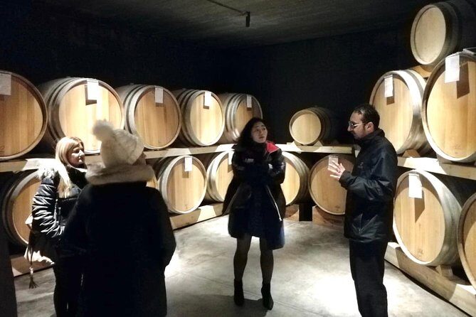 Etna Wineries Tour - Small Groups from Taormina - Two Etna North winery visits: tastings, access, and what to watch